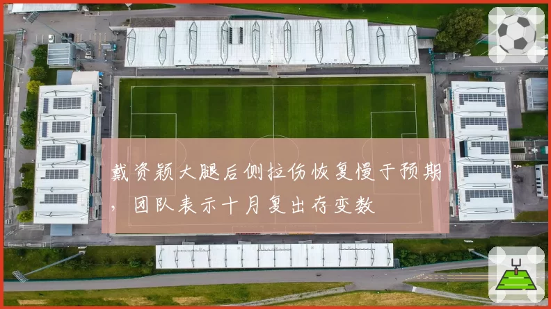 戴资颖大腿后侧拉伤恢复慢于预期，团队表示十月复出存变数