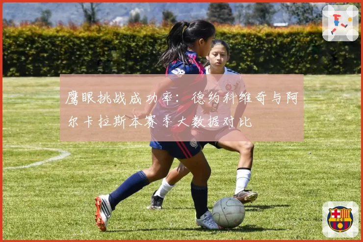 鹰眼挑战成功率：德约科维奇与阿尔卡拉斯本赛季大数据对比