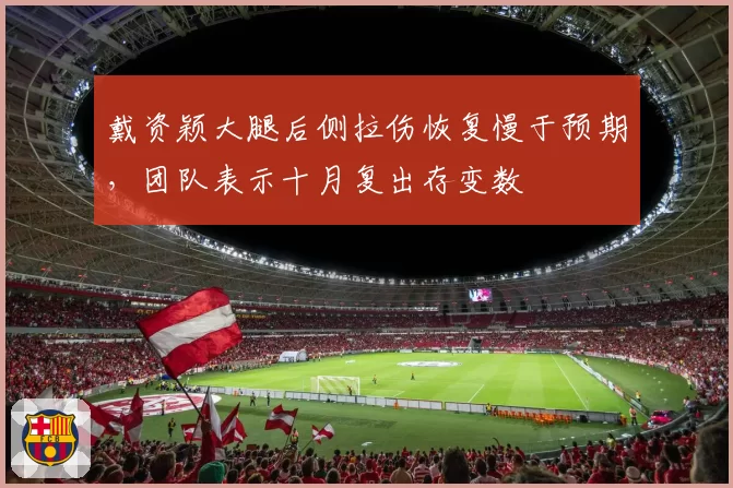 戴资颖大腿后侧拉伤恢复慢于预期，团队表示十月复出存变数